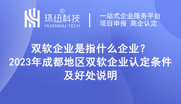 雙軟企業是指什么企業