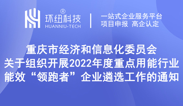 2022年度重點用能行業(yè)能效領(lǐng)跑者企業(yè)遴選工作