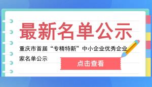 市經信委 | 重慶市首屆“專精特新”中小企業優秀企業家名單公示