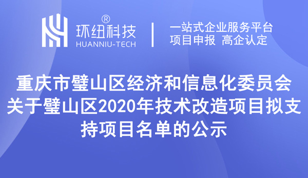 璧山區2020年技術改造項目擬支持項目名單