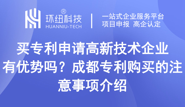 買專利申請高新技術(shù)企業(yè)有優(yōu)勢嗎