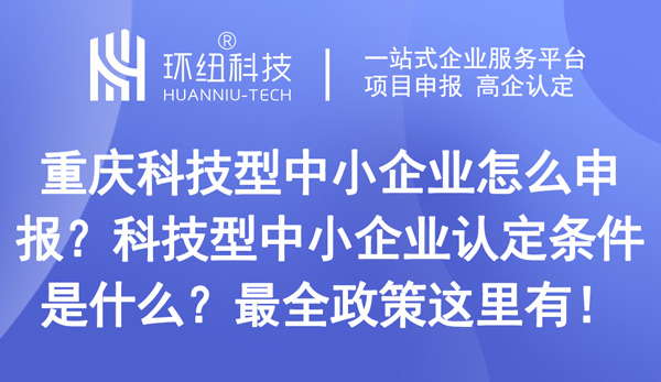 重慶科技型中小企業怎么申報