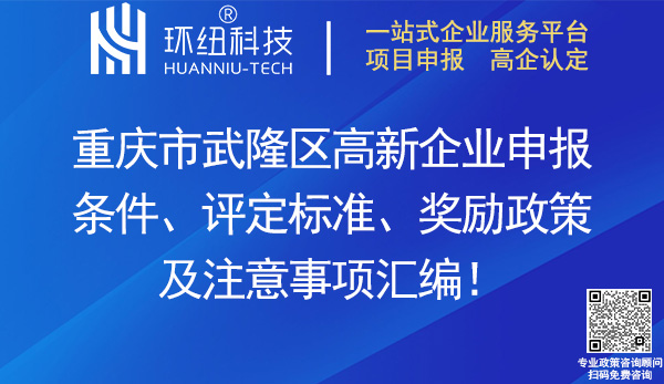 武隆區(qū)高新企業(yè)申報