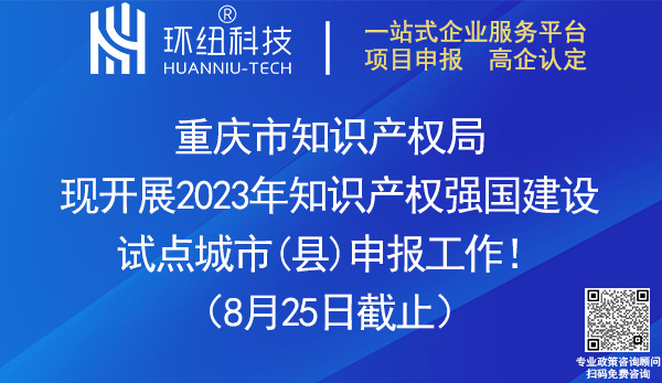 2023年知識(shí)產(chǎn)權(quán)強(qiáng)國(guó)建設(shè)試點(diǎn)城市縣申報(bào)