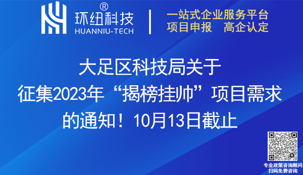 2023年揭榜掛帥項目申報