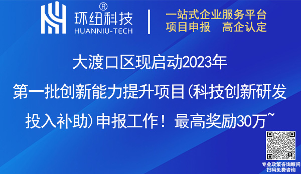 大渡口區創新能力提升項目申報